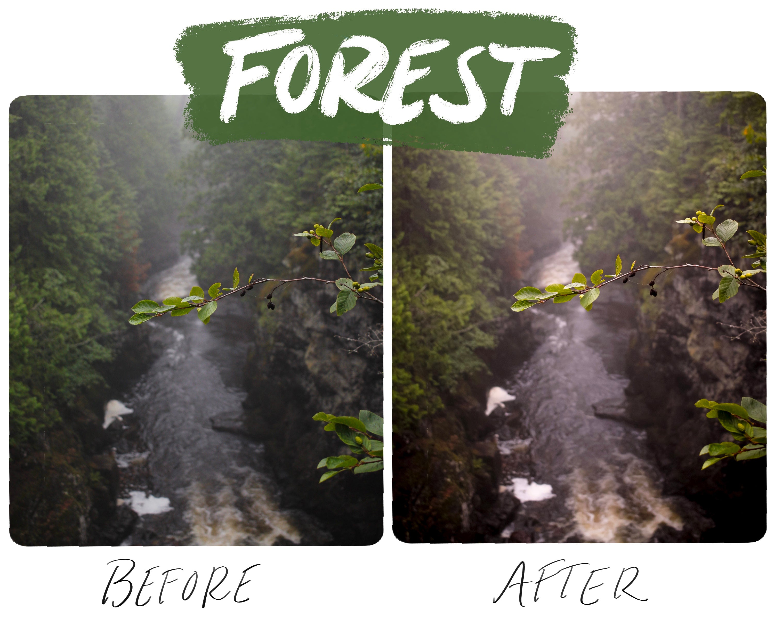5 Forest Mobile Lightroom Presets, Photo Editing Presets, Lightroom Mobile Presets, Forest Photos Preset for Instagram, Bloggers-Roam Wild Designs