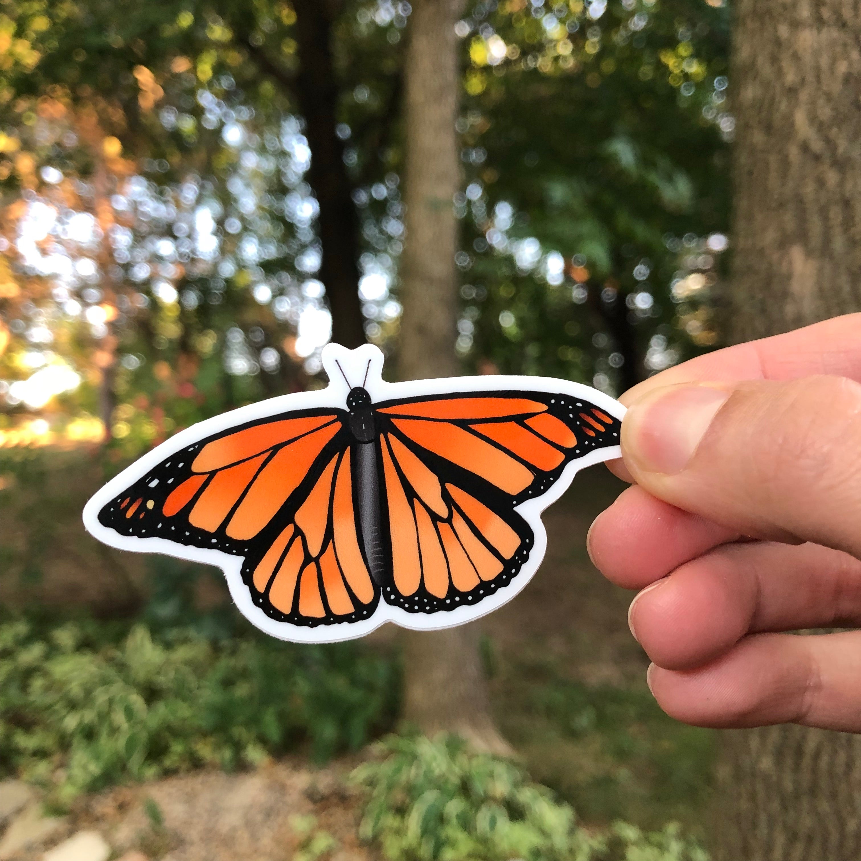 Monarch Butterfly Sticker-Vinyl Sticker-Roam Wild Designs