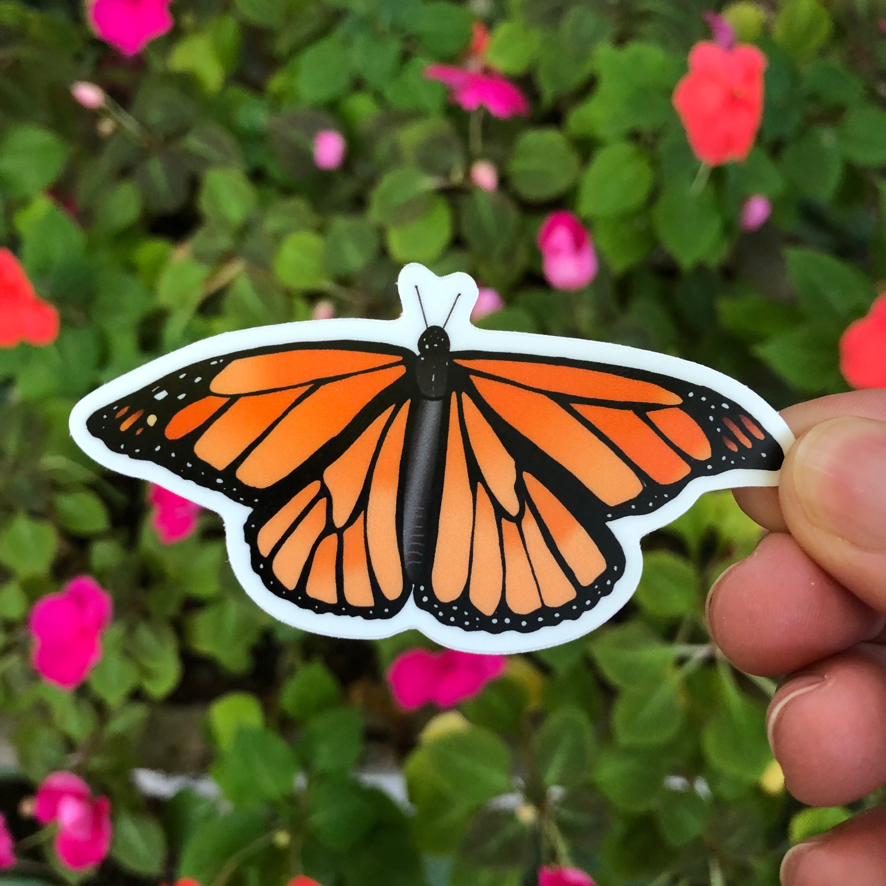 Monarch Butterfly Sticker-Vinyl Sticker-Roam Wild Designs