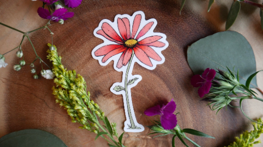 Coral Daisy Flower Sticker-Vinyl Sticker-Roam Wild Designs